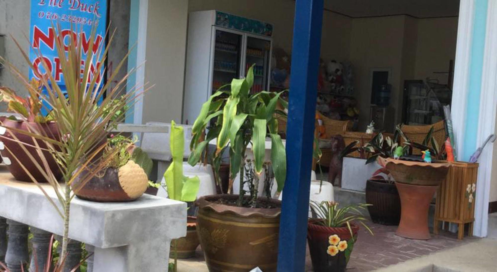The Duck Hotel Phuket Luaran gambar